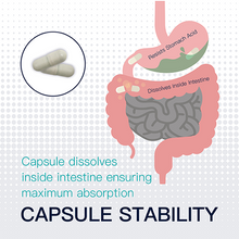 Load image into Gallery viewer, Eco Biota