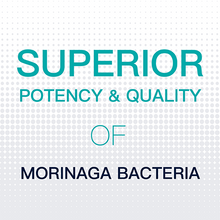 Load image into Gallery viewer, Eco Biota