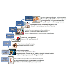 Load image into Gallery viewer, Vegan GLA