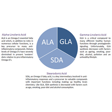 Load image into Gallery viewer, Vegan GLA